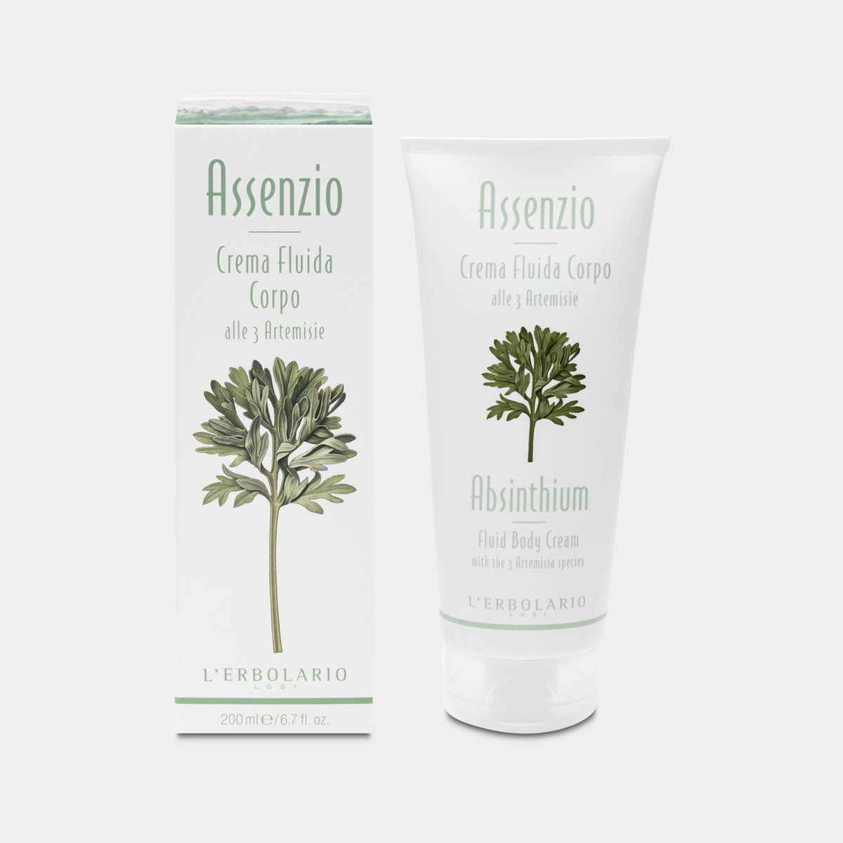 ASSENZIO CREMA FLUIDA CORPO
