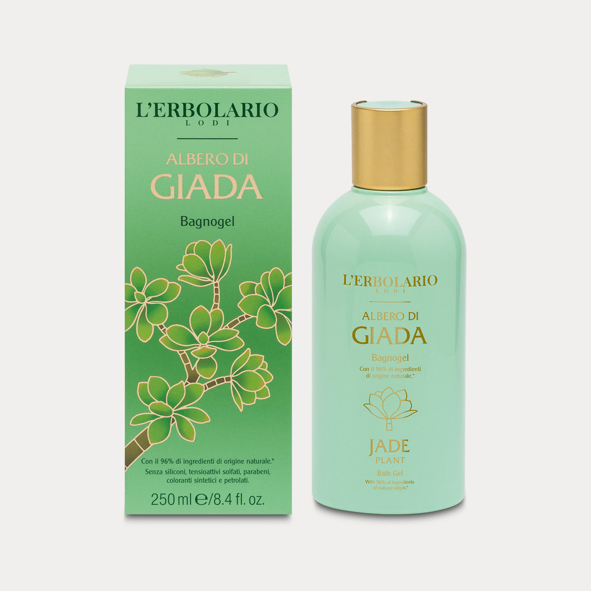 ALBERO DI GIADA BAGNOGEL