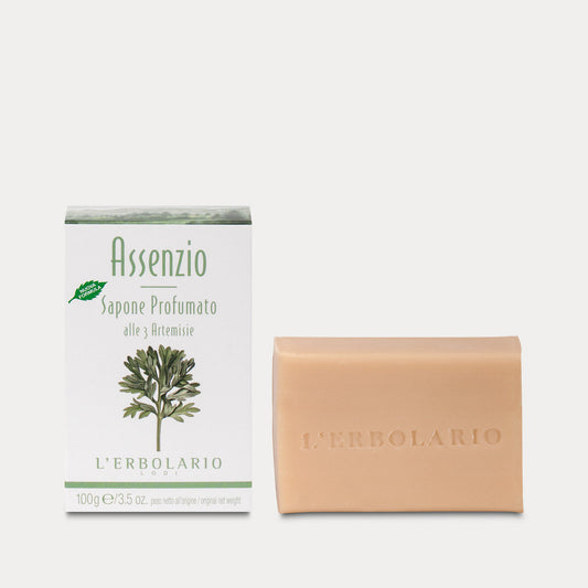 ASSENZIO SAPONE
