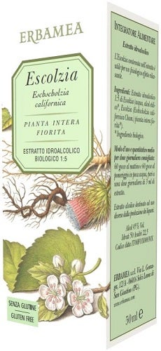 T.M. ESCOLZIA
