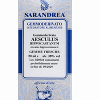 AESCULUS HIPPOCASTANUM 50ML GEMMODERIVATO