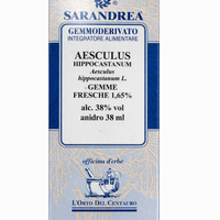 AESCULUS HIPPOCASTANUM 100ML GEMMODERIVATO