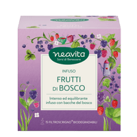 INFUSO FRUTTI DI BOSCO 15 FILTRI