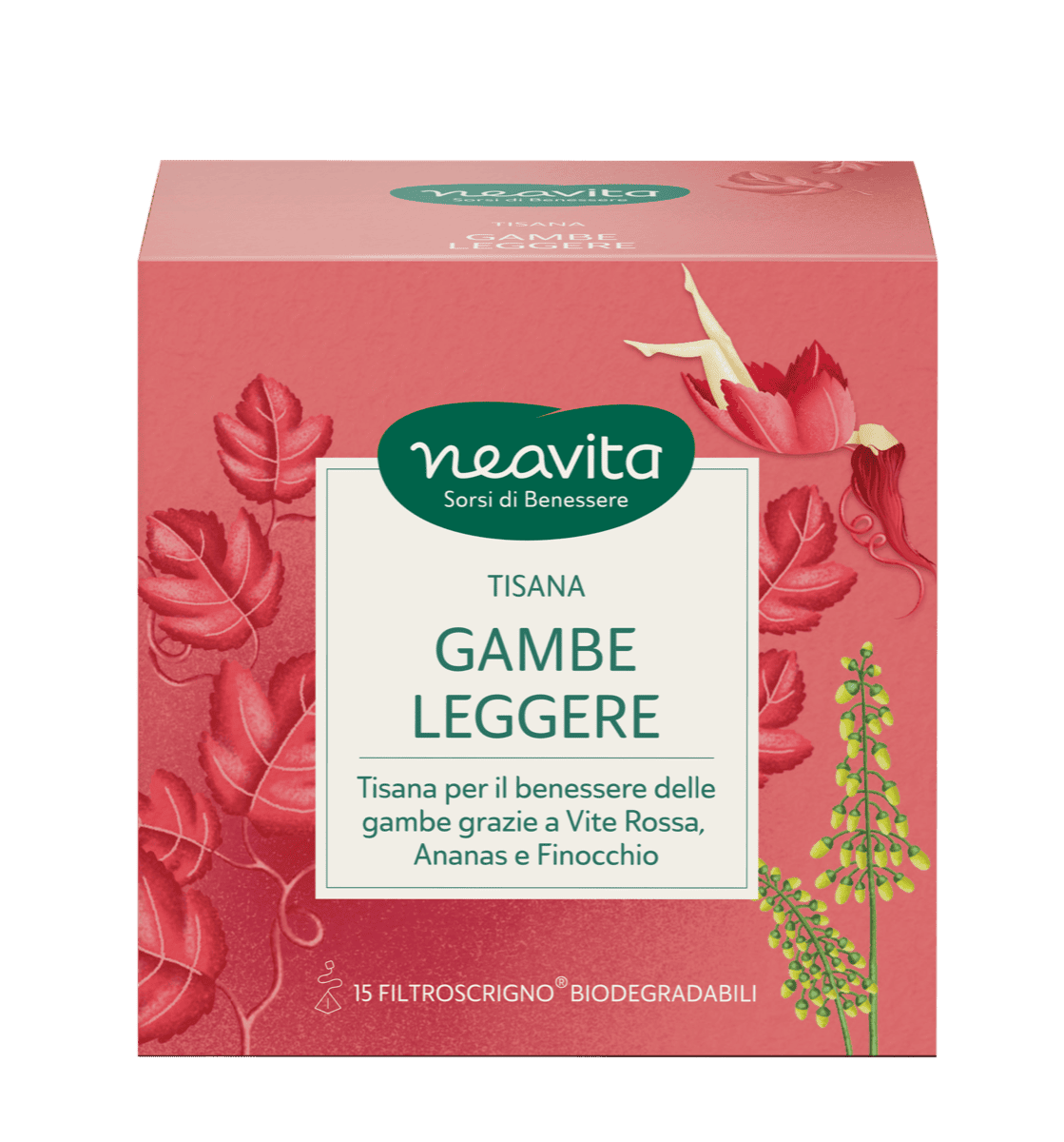 15 FILTROSCRIGNO GAMBE LEGGERE