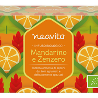 INFUSO MANDARINO ZENZERO 15 FILTRI
