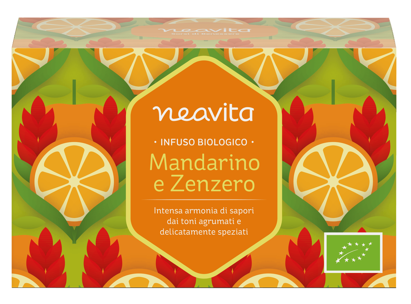 INFUSO MANDARINO ZENZERO 15 FILTRI
