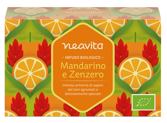 INFUSO MANDARINO ZENZERO 15 FILTRI