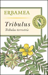 TRIBULUS 50 CAPSULE