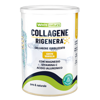 COLLAGENE RIGENERA POLVERE 330G