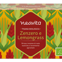 TISANA ZENZERO LEMONGRASS 15 FILTRI BIO