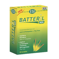 BATTERIL900 30TAV