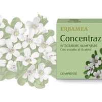 CONCENTRAZIONE ATTIVA 24 CPR