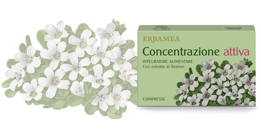 CONCENTRAZIONE ATTIVA 24 CPR
