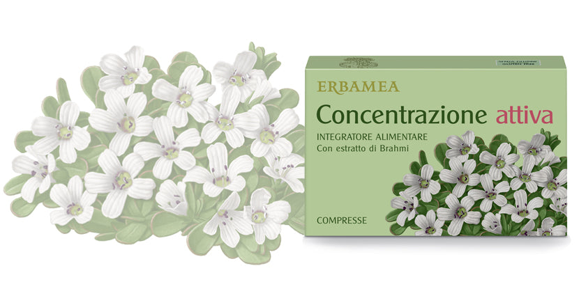 CONCENTRAZIONE ATTIVA 24 CPR