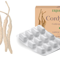 CORDYCEPS 24 CPS