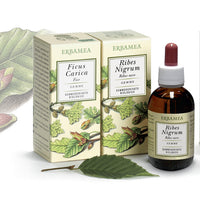 MACERATO GLICERICO  VACCINIUM VITIS IDAEA 50ML