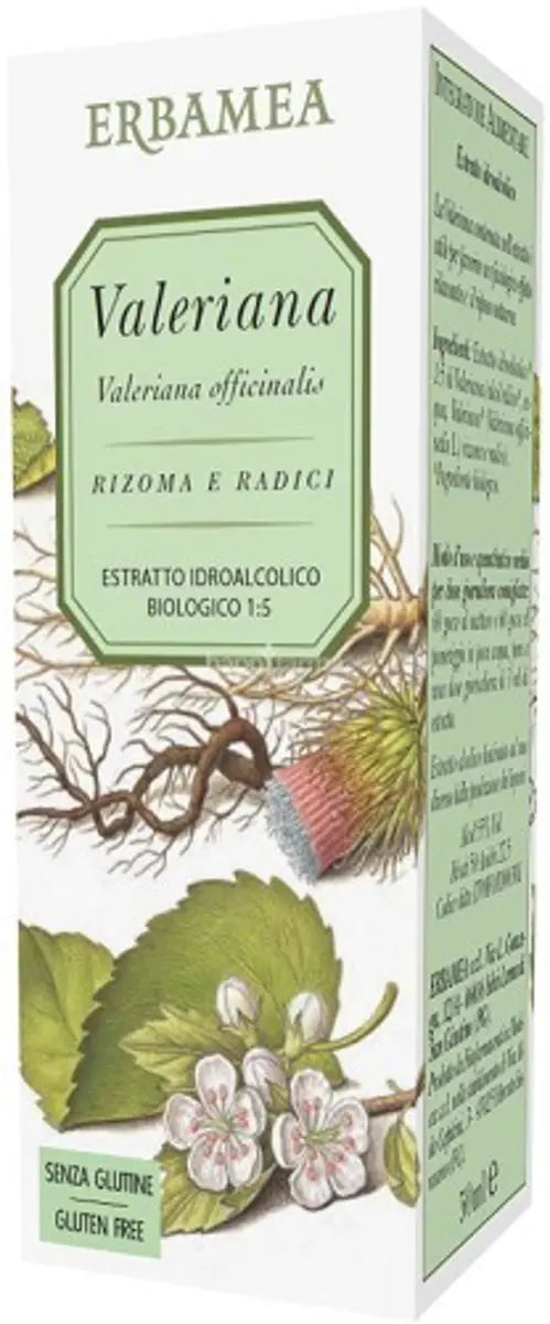 T.M. VALERIANA